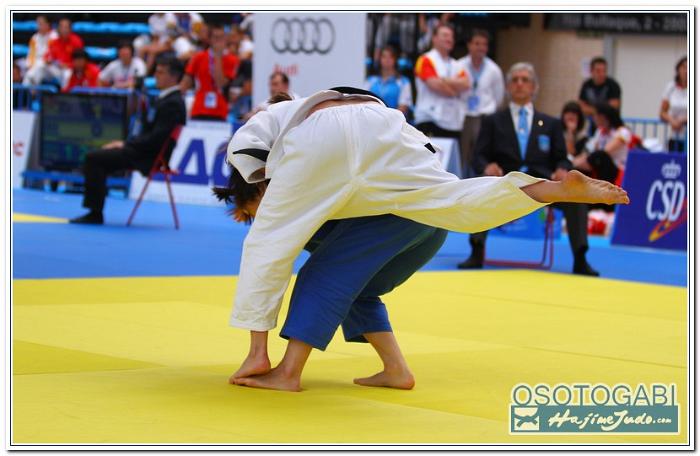 WCM2011 40071